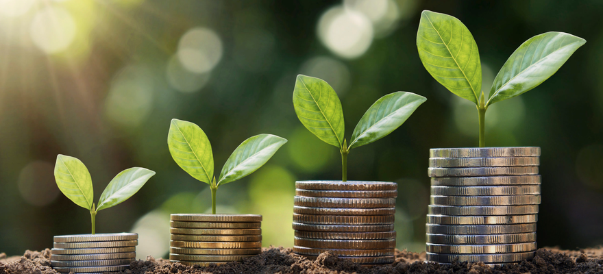Placements financiers - GM Conseils